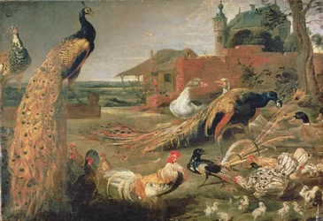 Una corneja con plumas de pavo real